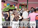 2005 costarica newyears party 26