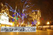 ukraine-women-12-08-280