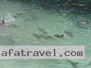 colombian-women-city-tour-48