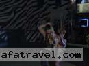 ukraine-women-236