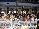 women tour yalta 0704 30