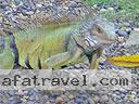 cartagena-women-other-1104-9